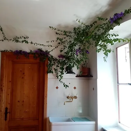Affitta Explora Caffe Guest house Trieste